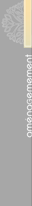 amenagment